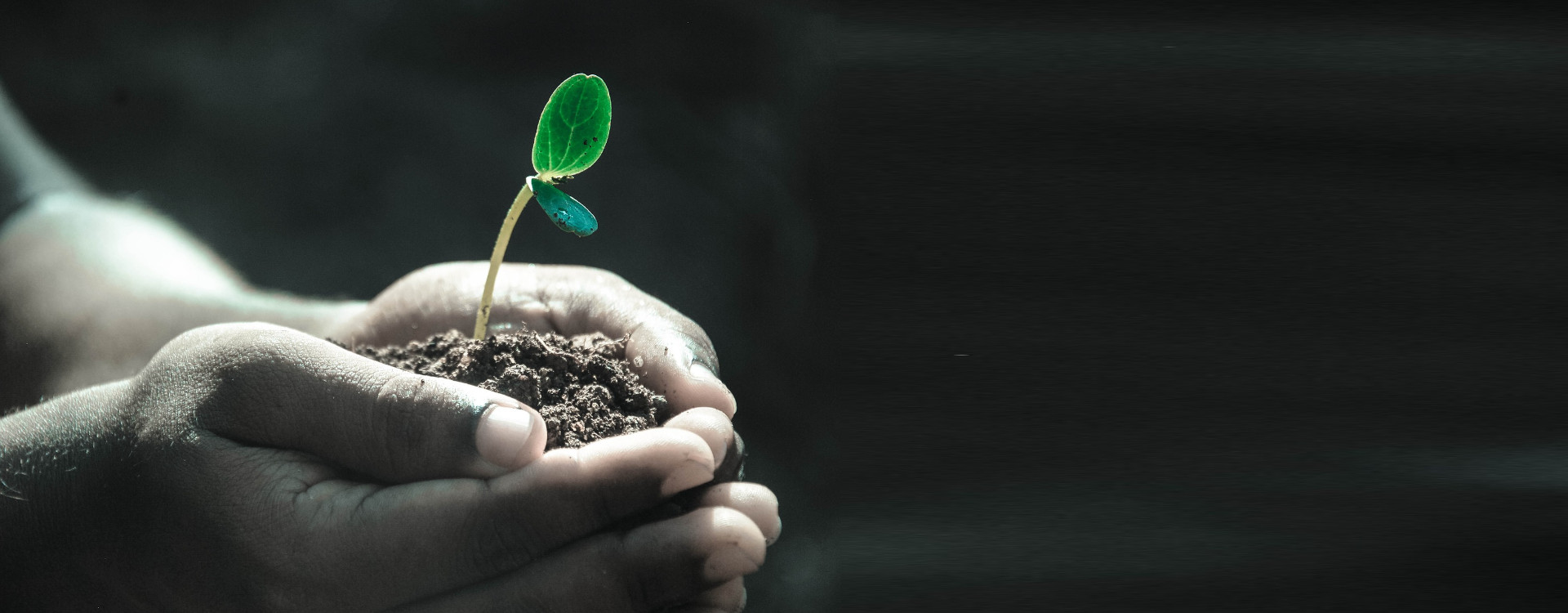 Bio Fertilizer Manufacturers in Tamilnadu | Grotec