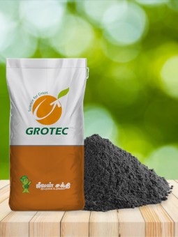Organic Fertilizer