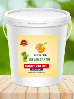 Sanjeevini Gel