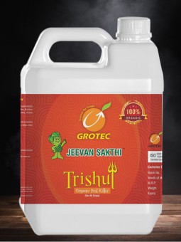 Trishul